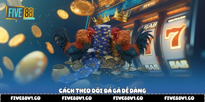 Cách theo dõi đá gà dễ dàng 