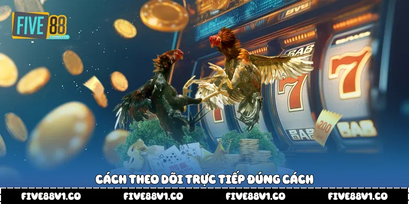 Cách theo dõi trực tiếp đúng cách