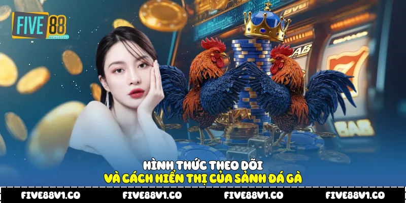 Hình thức theo dõi và cách hiển thị của sảnh đá gà