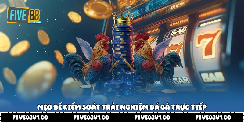  Mẹo để kiểm soát trải nghiệm đá gà trực tiếp